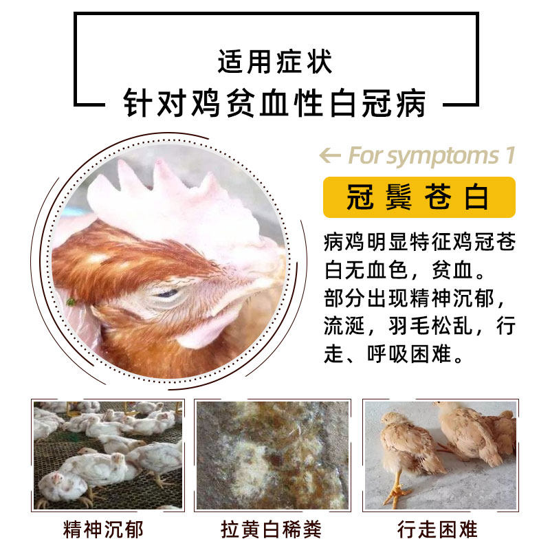 兽用佰欣舒鸡白冠病鼻炎球虫肝肾损伤破裂气血不足消瘦纯中药无抗