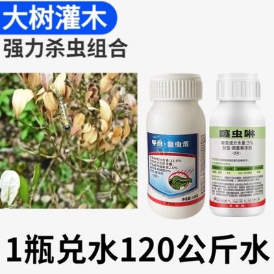 瓜子黄杨树肥料+树用杀虫剂组香樟石楠女贞松毛虫卷叶螟杀虫指导