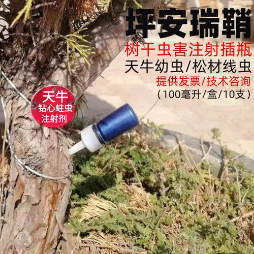 注射树干杀虫剂天牛幼虫