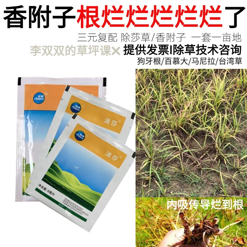 森活掘莎氯吡嘧磺隆油悬浮剂香附子除草剂三棱杂草黑烂死根的农药