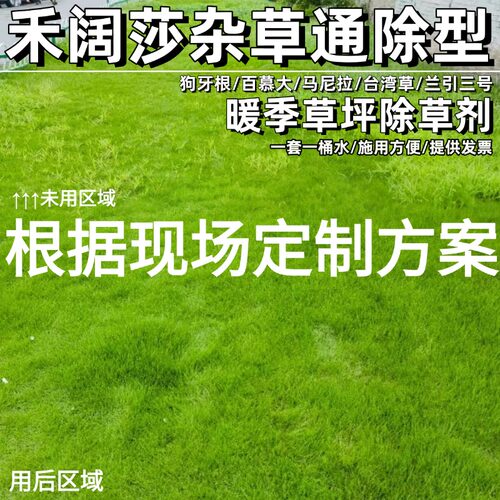 暖季节狗牙根台湾草坪草坪除草剂