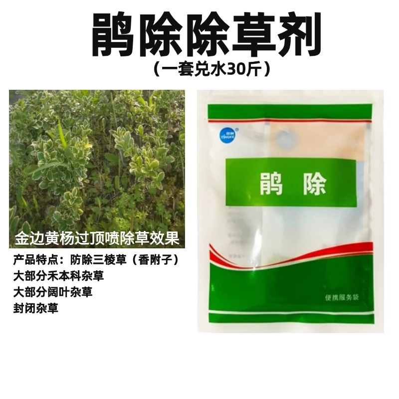鹃除除草剂组合除草能力更强