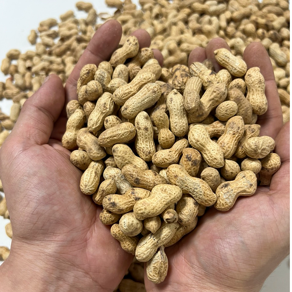 【精品A级果】柴火铁锅炒原味小珍珠花生香脆下酒追剧休闲零食,零食/坚果/特产,花生,淘宝优惠券,粉丝福利购,淘宝优惠卷