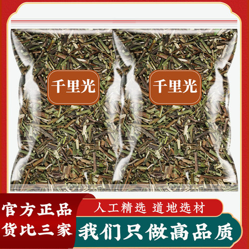500g千里光中药新鲜干货正品