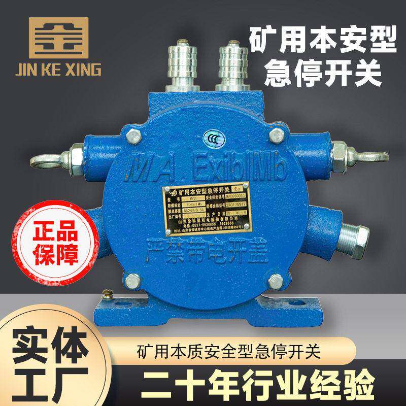 厂家供KGT矿用急停开关  皮带保护装置紧急停车用