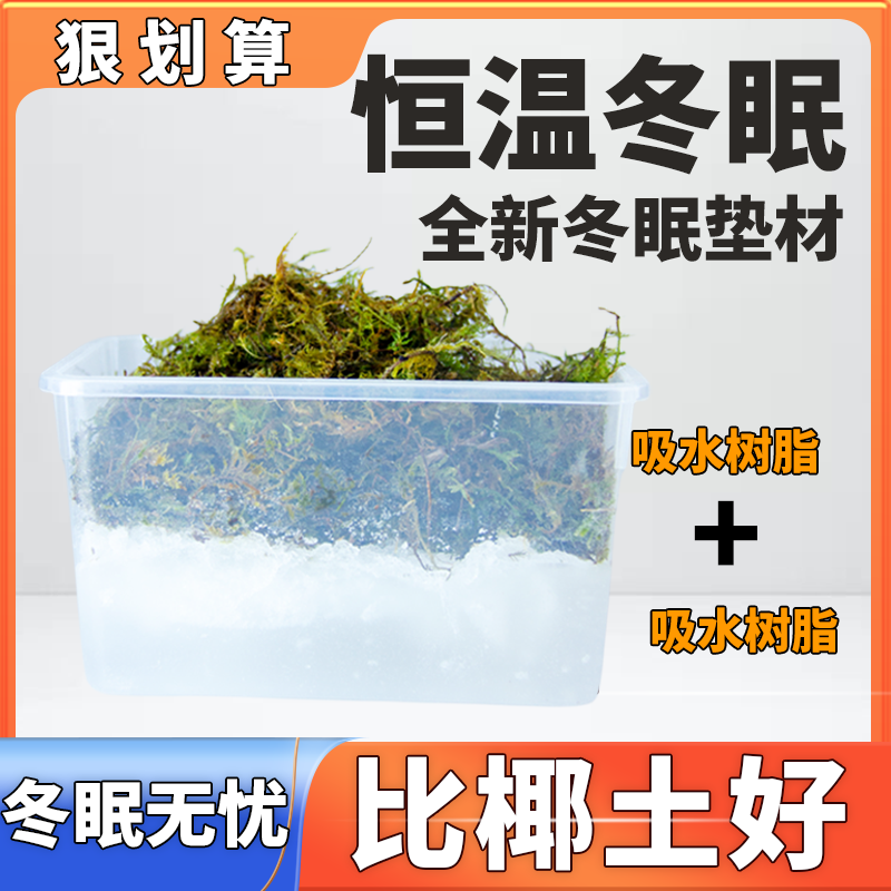 乌龟冬眠万蚁吸水树脂