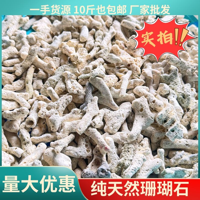 鱼缸滤材珊瑚骨珊瑚砂纯天然鱼池图片