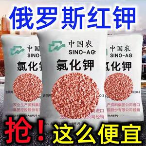 正品钾肥俄罗斯进口高钾肥大袋通用型肥料农用花卉果树蔬菜红钾肥
