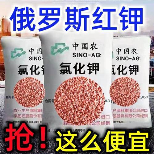 正品钾肥俄罗斯进口高钾肥大袋通用型肥料农用花卉果树蔬菜红钾肥