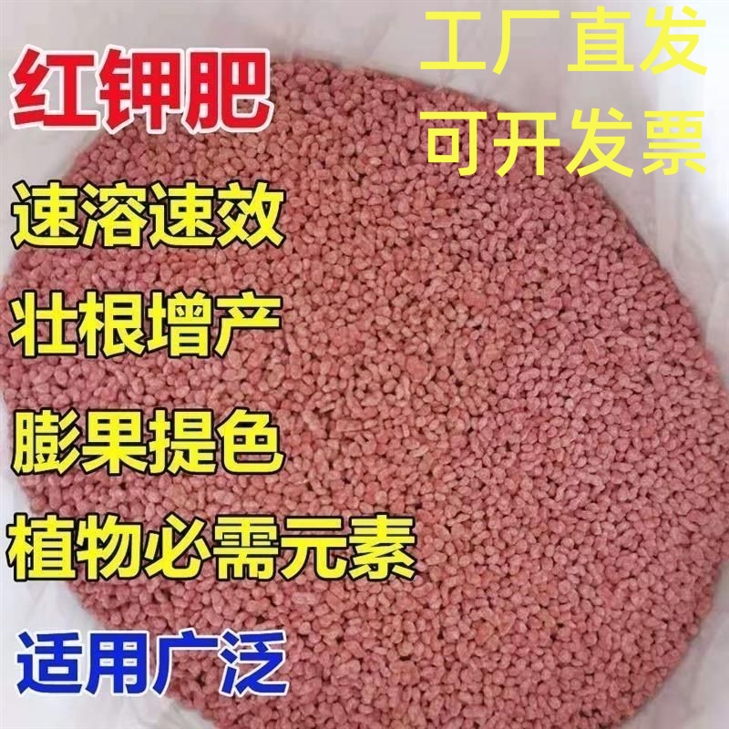 进口钾肥俄罗斯硫酸钾红