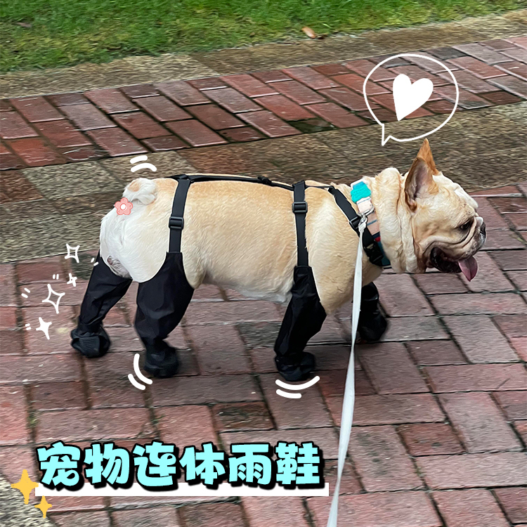 小斗跟脚雨靴来啦！！