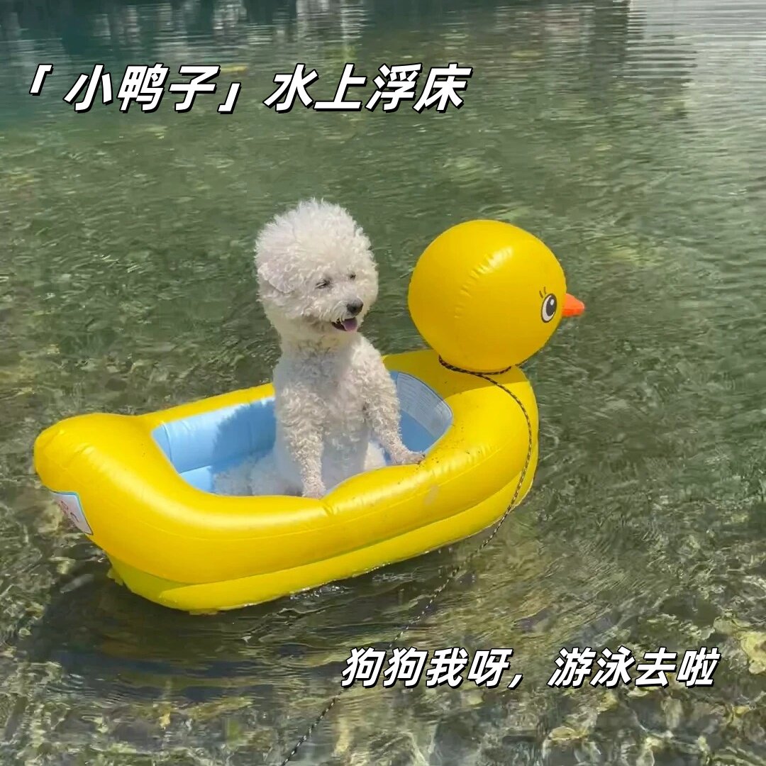 宠物水上充气浮床儿童游泳圈宠物小船浮排气垫充气洗澡盆儿童浴盆