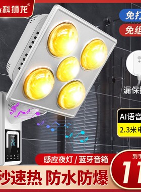 科狮龙壁挂浴霸灯卫生间取暖挂壁