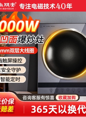 Sunpentown/尚朋堂 SR3040电磁炉3000W大功率凹面电嵌两用电磁灶