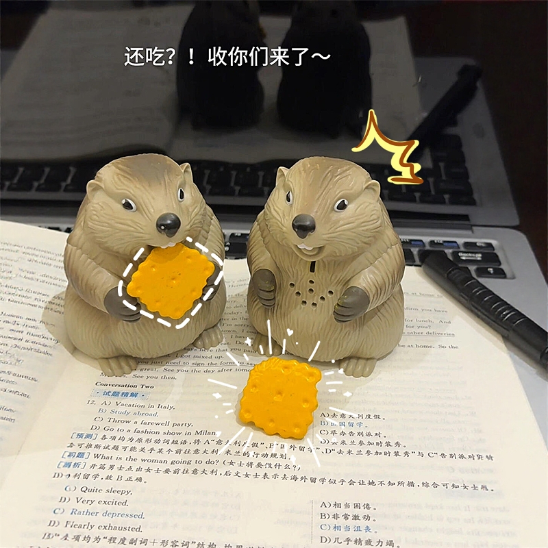 真的很喜欢这个吃饼干的土拨鼠哇
