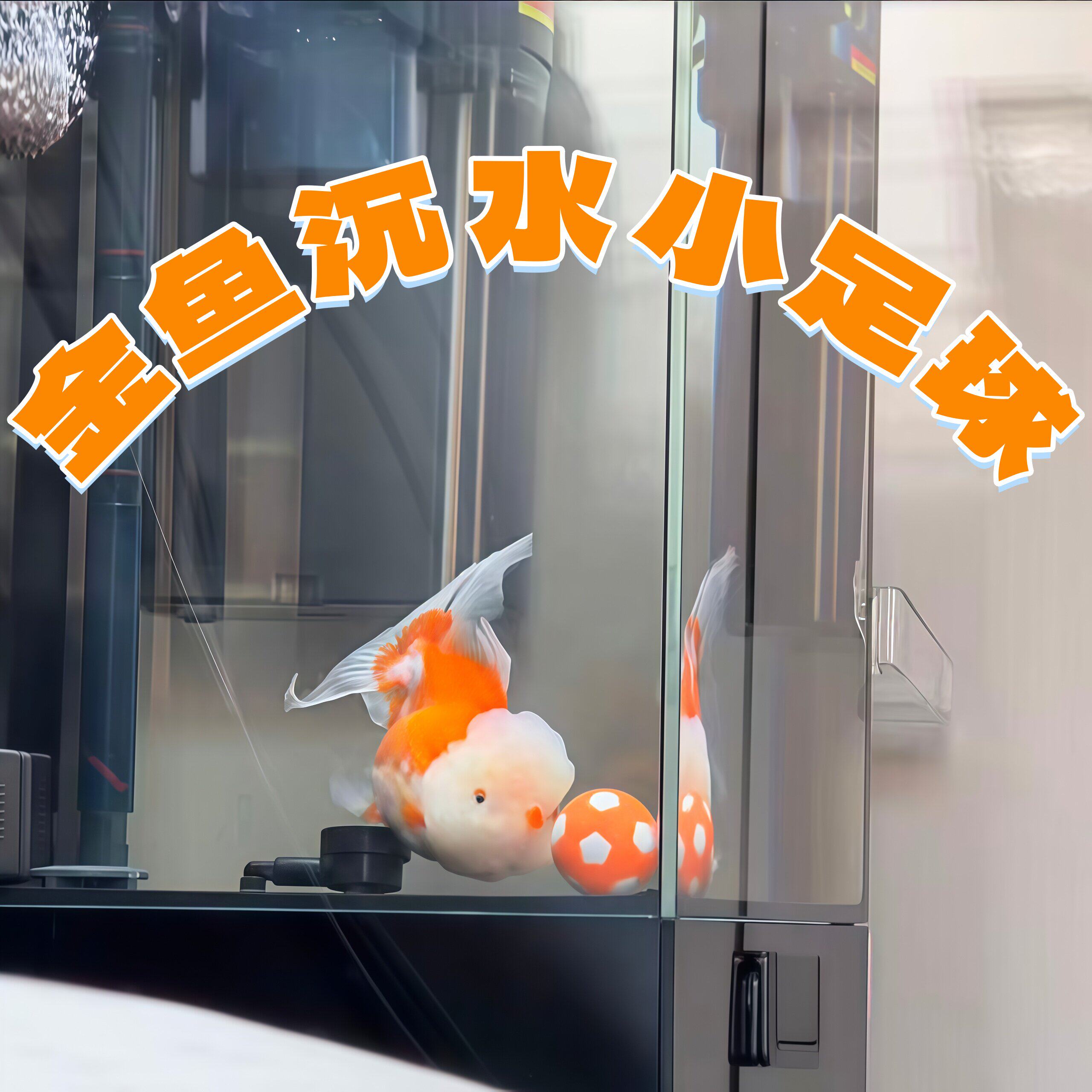 金鱼沉水小足球多尺寸鱼缸造景兰寿鱼训练小皮球桌面足球机配件