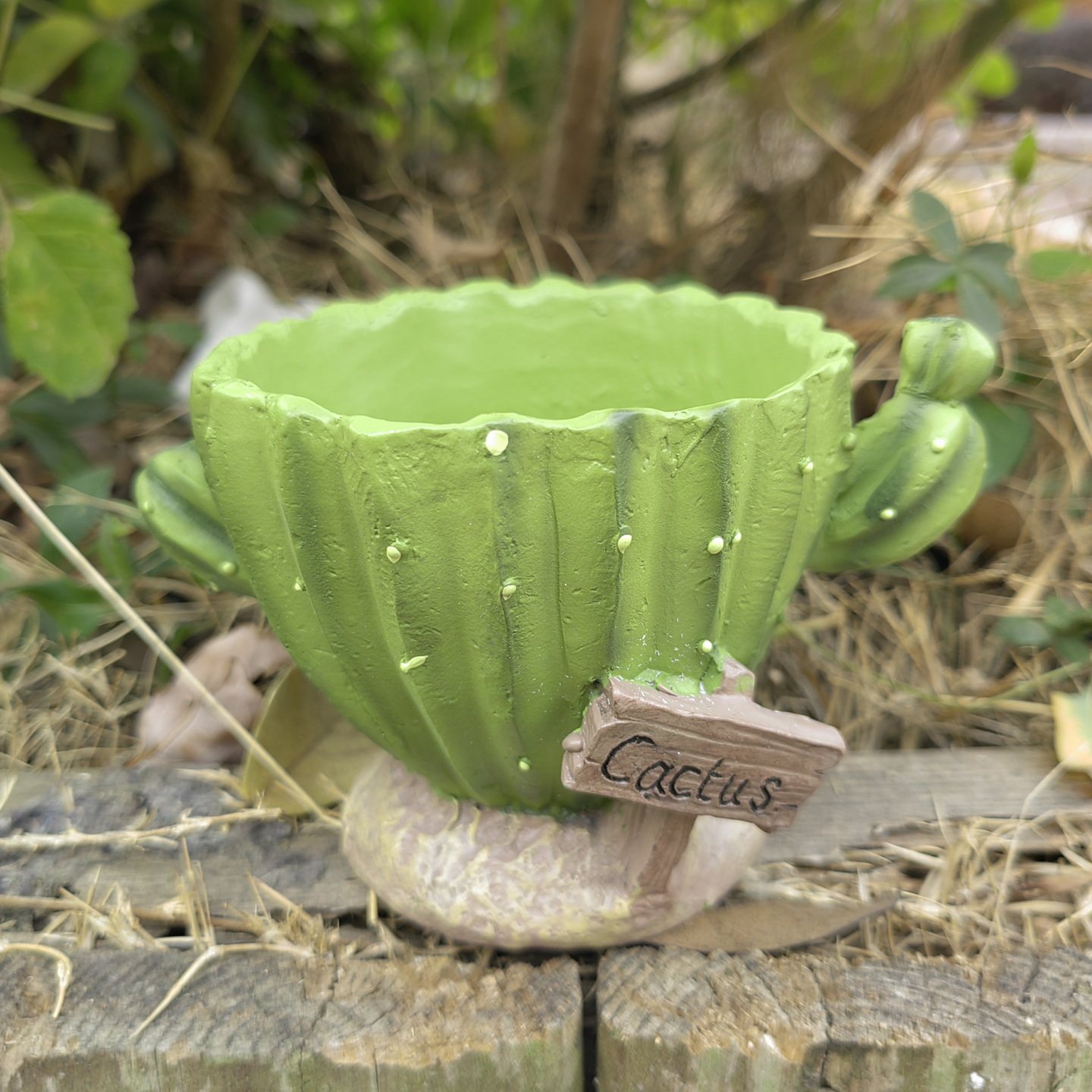 可爱树脂卡通仙人掌迷你小花盆花园多肉花器桌面日式杂货园林盆栽,鲜花速递/花卉仿真/绿植园艺,花盆,淘宝优惠券,粉丝福利购,淘宝优惠卷