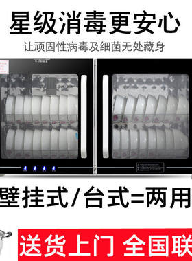 日本进口消毒柜家用小型高温壁挂式台式双门幼儿园商用毛巾消毒柜