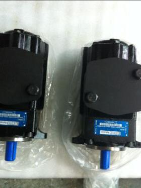 美国丹尼逊DENISON叶片泵T6C-003-1R02-B1 T6C-003-2R02-B1