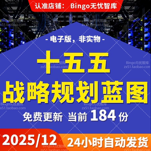 十五五远景经济计划麦肯锡央国企业战略规划蓝图设计指导手册报告