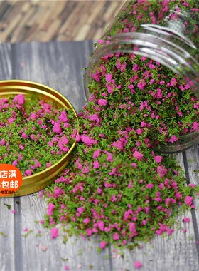 junk journal复古艺术垃圾杂志手帐仿真花草组合手帐场景模拟树粉