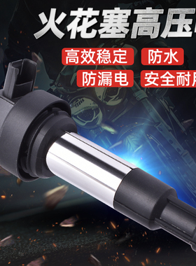 适用宝马C400X/GT K1600GT/GTL点火线圈高压包高压帽配件