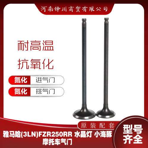 适用雅马哈摩托车FZR250小海豚大板骨水晶灯氮化气门进气排气门