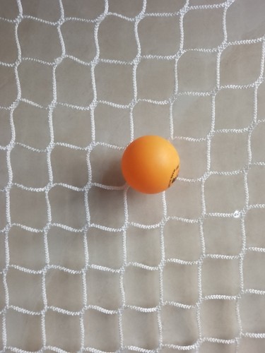 乒乓球围网无结网场地围挡训练网