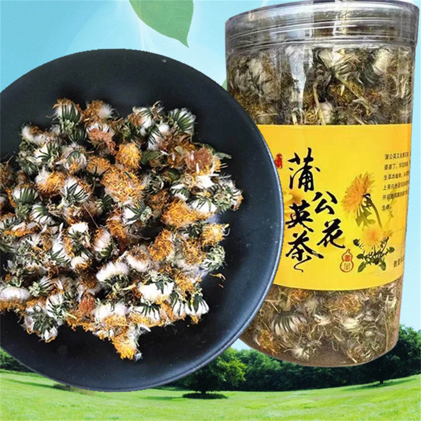吉林发货长白山蒲公英根干花茶50g婆婆丁花新鲜自然晾晒足龄花朵