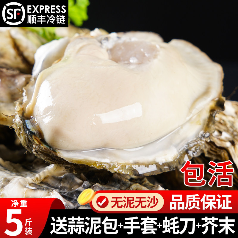 连云港生蚝包肥不活不肥包赔