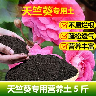 天竺葵专用土料花盆栽巴西龙骨仙人柱玉麒麟专用土营养土种植家用