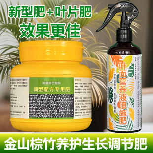 金山棕竹专用肥料花盆栽营养液叶子发黄干枯萎缩焦黑斑锈斑叶面肥