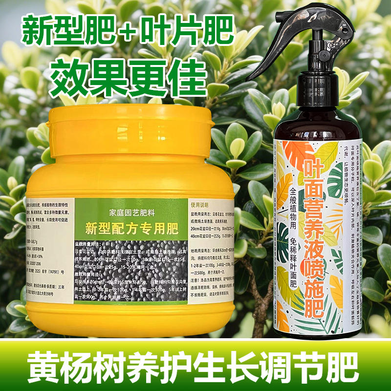 黄杨树专用肥料盆栽盆景专用土营养液干叶子发枯黄枯萎掉叶面肥料