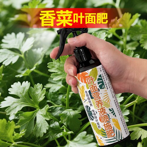 香菜专用肥料盆栽地栽蔬菜小苗发芽种植营养液土壤种菜水溶化肥料