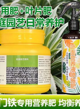 也门铁巴西铁专用营养液室内金心青叶金边盆栽绿植物缓释花卉肥料