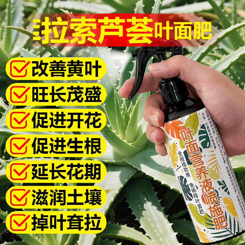 库拉索芦荟专用肥料种植盆栽营养液翠绿生根肥饱满长爆芽叶面肥料