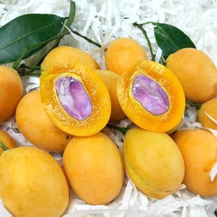 新品种泰国枇杷芒果苗嫁接果树苗室内阳台盆栽南北方四季种植包邮