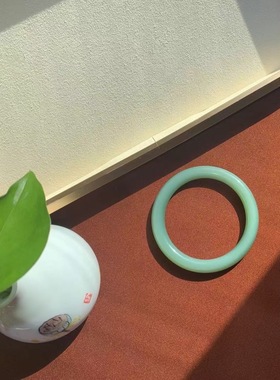 【郑姐和田玉】俄罗斯碧玉鸭蛋青手镯万能链接 私拍无效