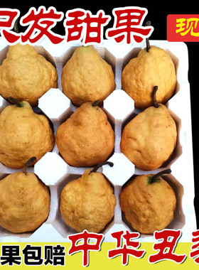 5斤中华丑梨烟台水果新鲜包邮胜太婆梨秋月梨啤梨雪梨香梨整箱