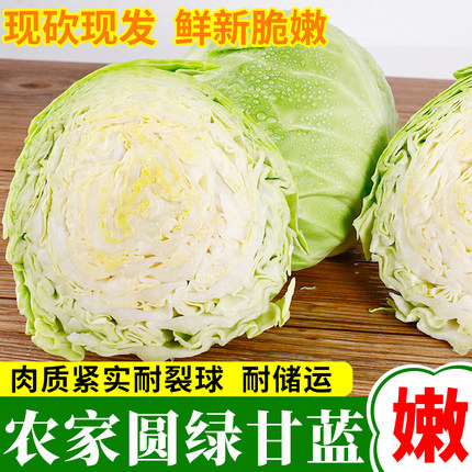 云南包菜新鲜蔬菜圆绿甘蓝卷心菜莲花白现摘现发泡菜菜汁净重5斤
