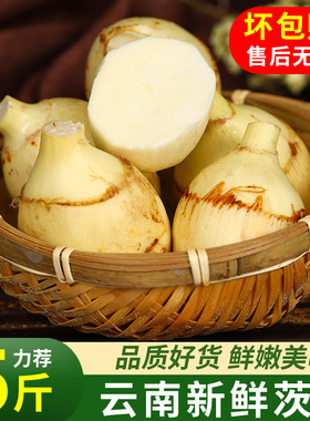 云南新鲜白慈姑茨菰茨菇白马蹄鲜慈姑5斤粉糯荸荠新鲜蔬菜包邮