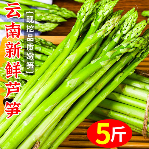 中鲜生新鲜芦笋5斤装包邮催脆嫩