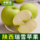 脆甜礼盒脆甜爽口 包邮 中鲜生陕西瑞雪苹果白水水果当季 整箱