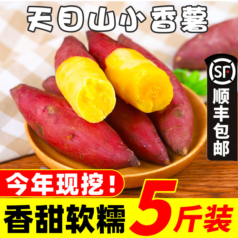浙江临安天目山小香薯5斤新鲜正宗板栗红薯番大地瓜蜜小蕃薯小果