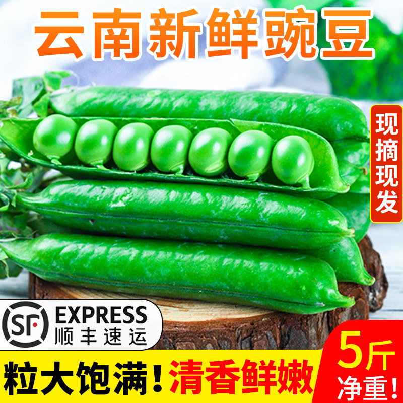 2025豌豆新鲜云南高原带壳青豆角脆甜水果豌豆荚现摘现发5斤顺丰,水产肉类/新鲜蔬果/熟食,新鲜豆类,淘宝优惠券,粉丝福利购,淘宝优惠卷