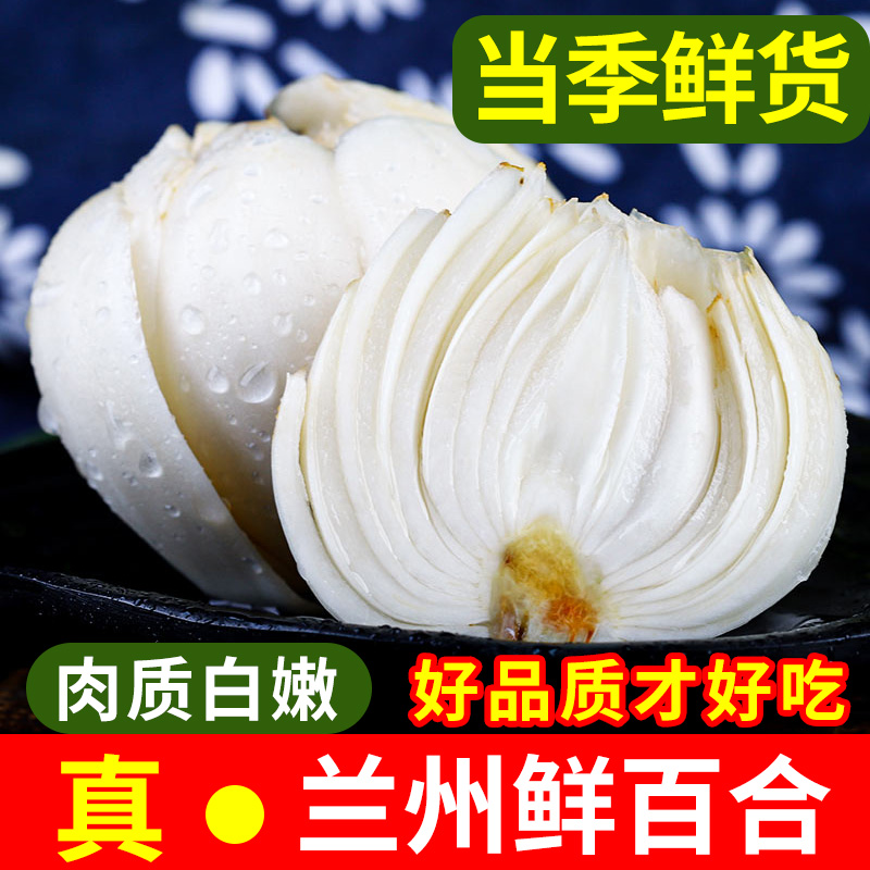 甘肃兰州特产新鲜百合