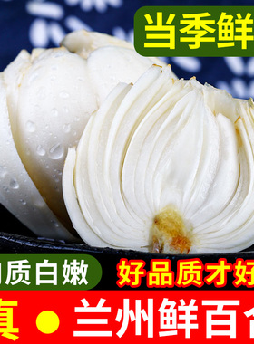 甘肃兰州特产鲜百合500g新鲜食用蒜脑薯干农家蔬菜5包邮级二头皇
