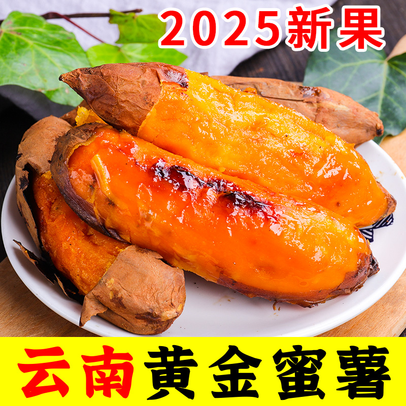 红薯云南建水黄金板栗