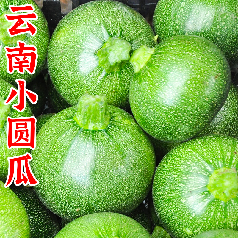 云南新鲜圆形西葫芦5斤当季农家蔬菜短蔓嫩南瓜倭瓜青瓜整箱包邮 水产肉类/新鲜蔬果/熟食 南瓜 原图主图