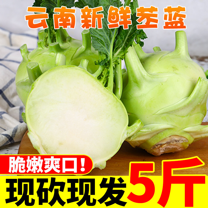 中鲜生 丕蓝云南特产苤蓝新鲜蔬菜当季脆嫩整箱包邮绿青球甘蓝5斤
